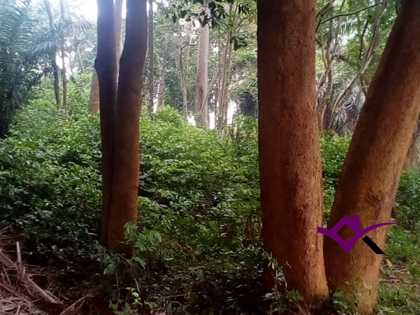 Multipurpose Land for sale in Entebbe Wakiso