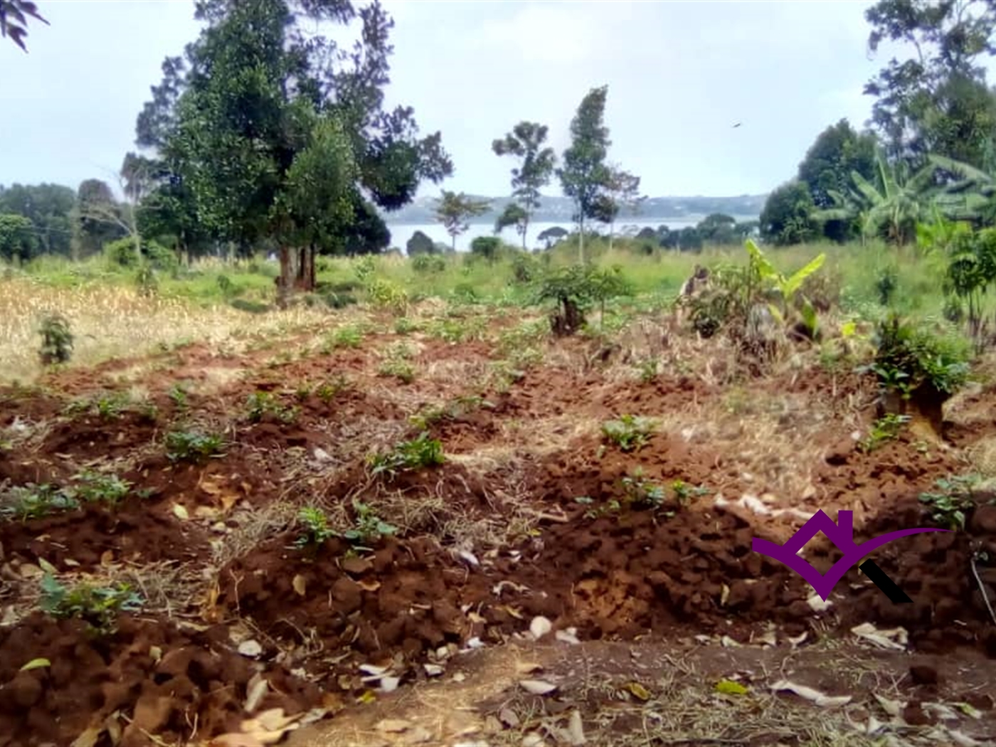 Multipurpose Land for sale in Entebbe Wakiso