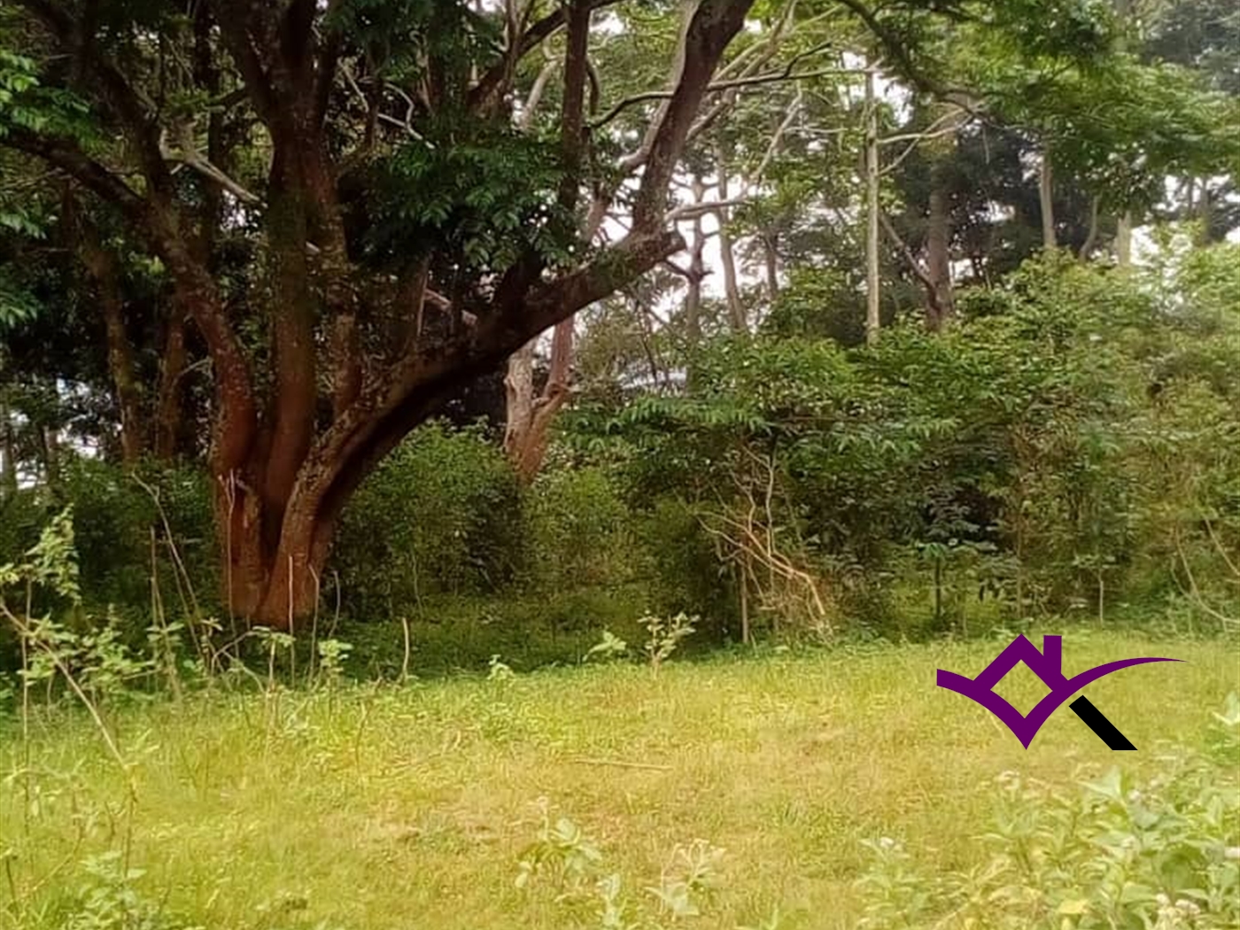 Multipurpose Land for sale in Entebbe Wakiso