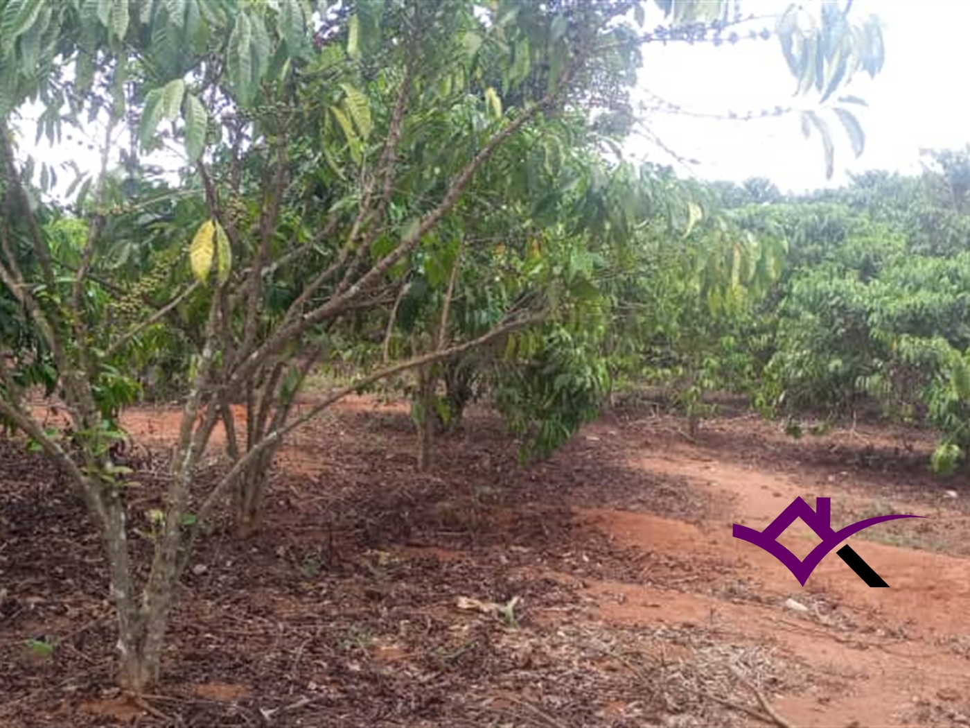 Multipurpose Land for sale in Ziloobwe Luweero