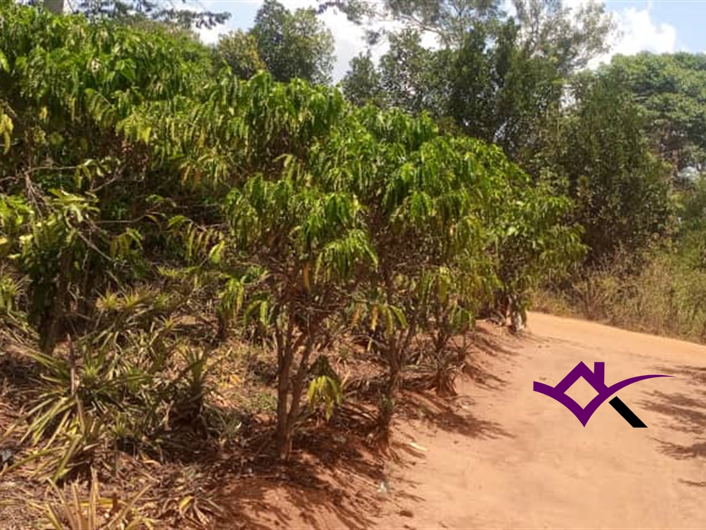 Multipurpose Land for sale in Ziloobwe Luweero