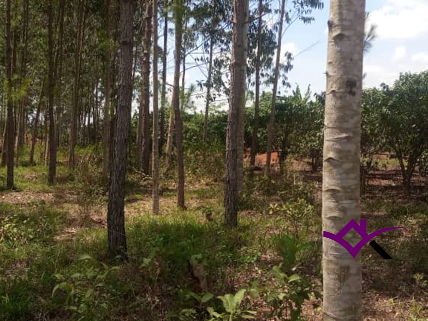 Multipurpose Land for sale in Ziloobwe Luweero