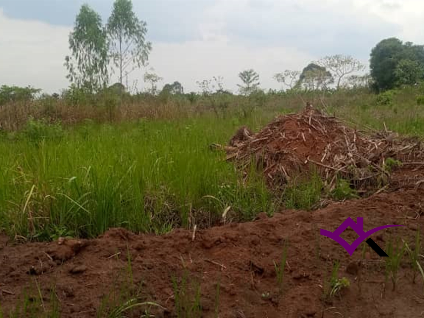 Multipurpose Land for sale in Lakwang Amuria
