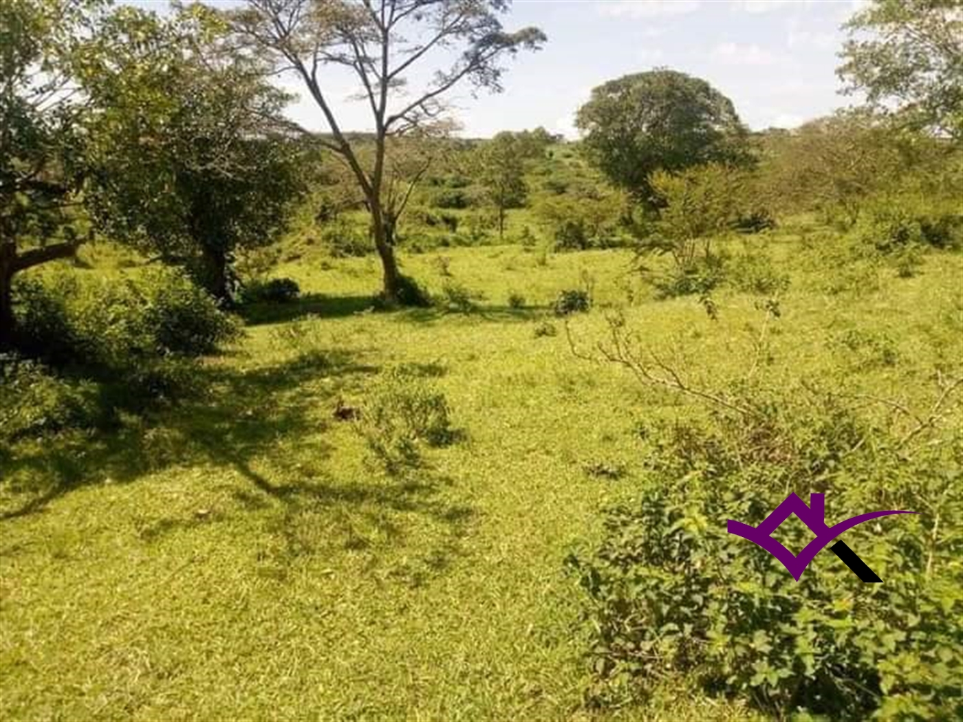 Multipurpose Land for sale in Gomba Mpigi