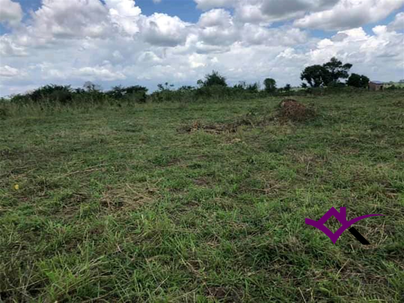 Multipurpose Land for sale in Bbaale Kayunga