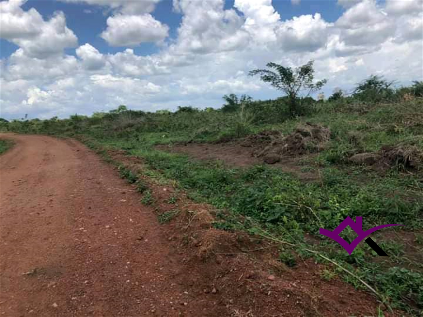 Multipurpose Land for sale in Bbaale Kayunga