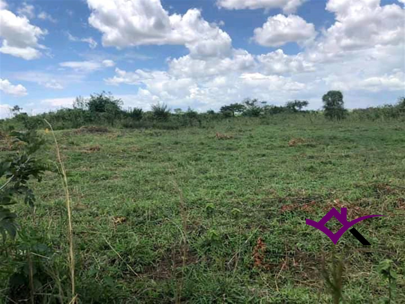 Multipurpose Land for sale in Bbaale Kayunga