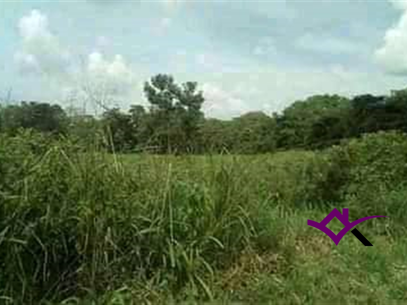 Multipurpose Land for sale in Kakungube Mubende