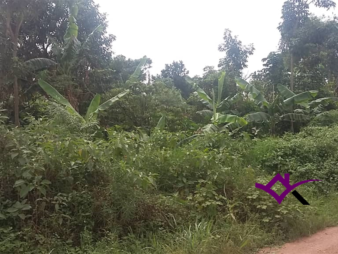 Multipurpose Land for sale in Kasana Luweero