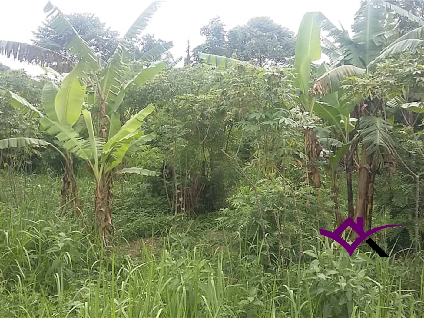 Multipurpose Land for sale in Kasana Luweero