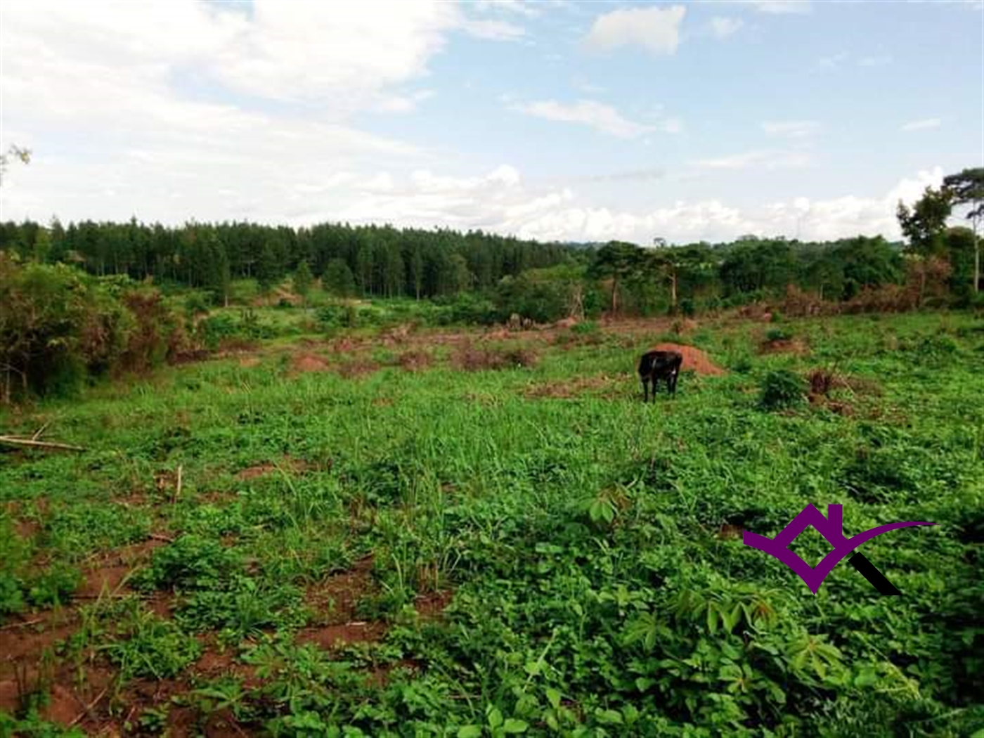 Multipurpose Land for sale in Namanve Mukono