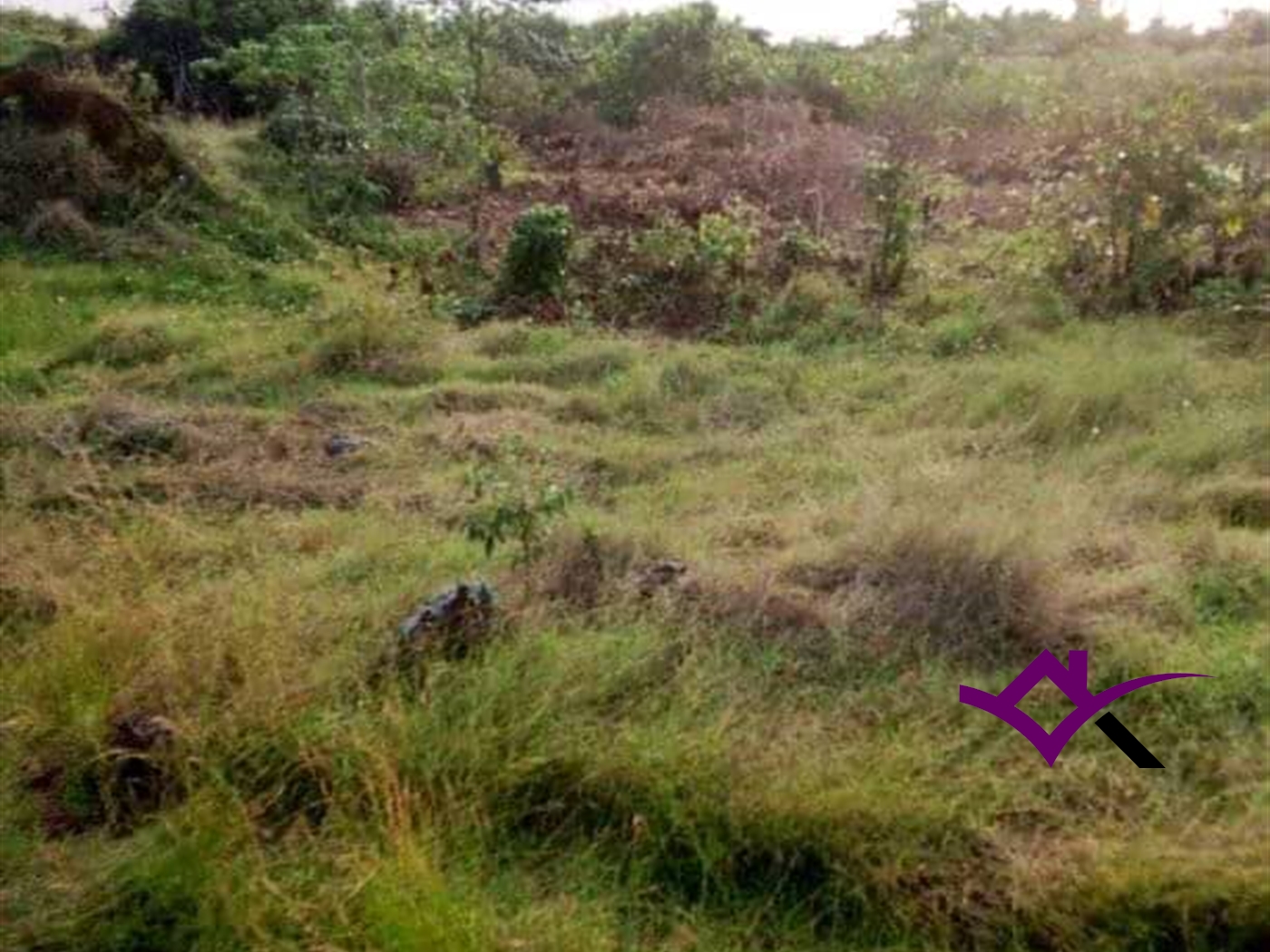 Multipurpose Land for sale in Buvuma Buyikwe