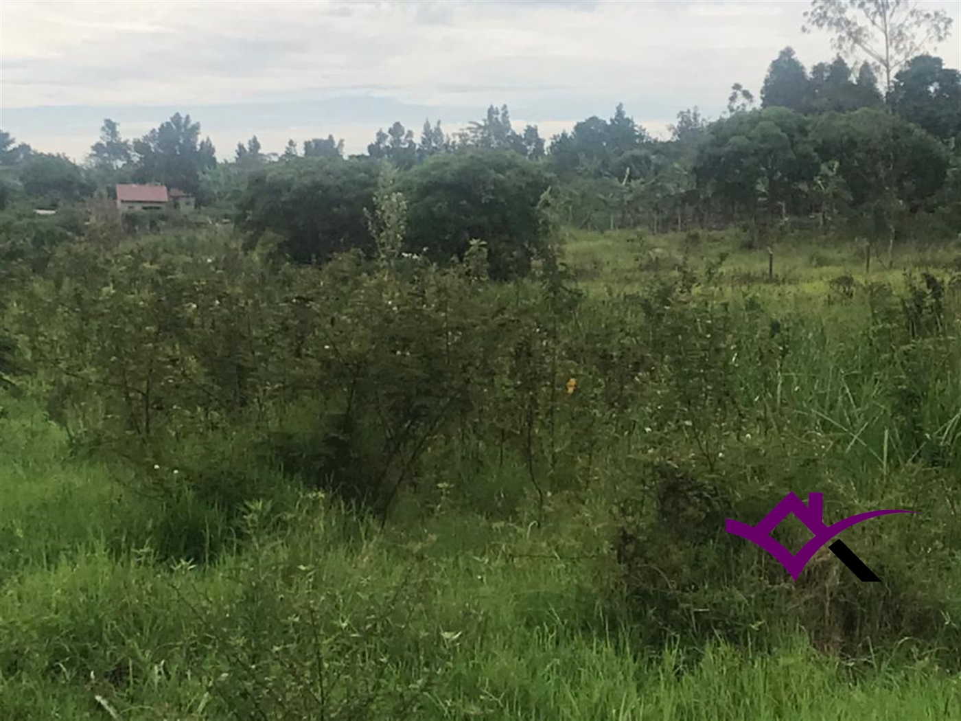 Multipurpose Land for sale in Busiika Wakiso