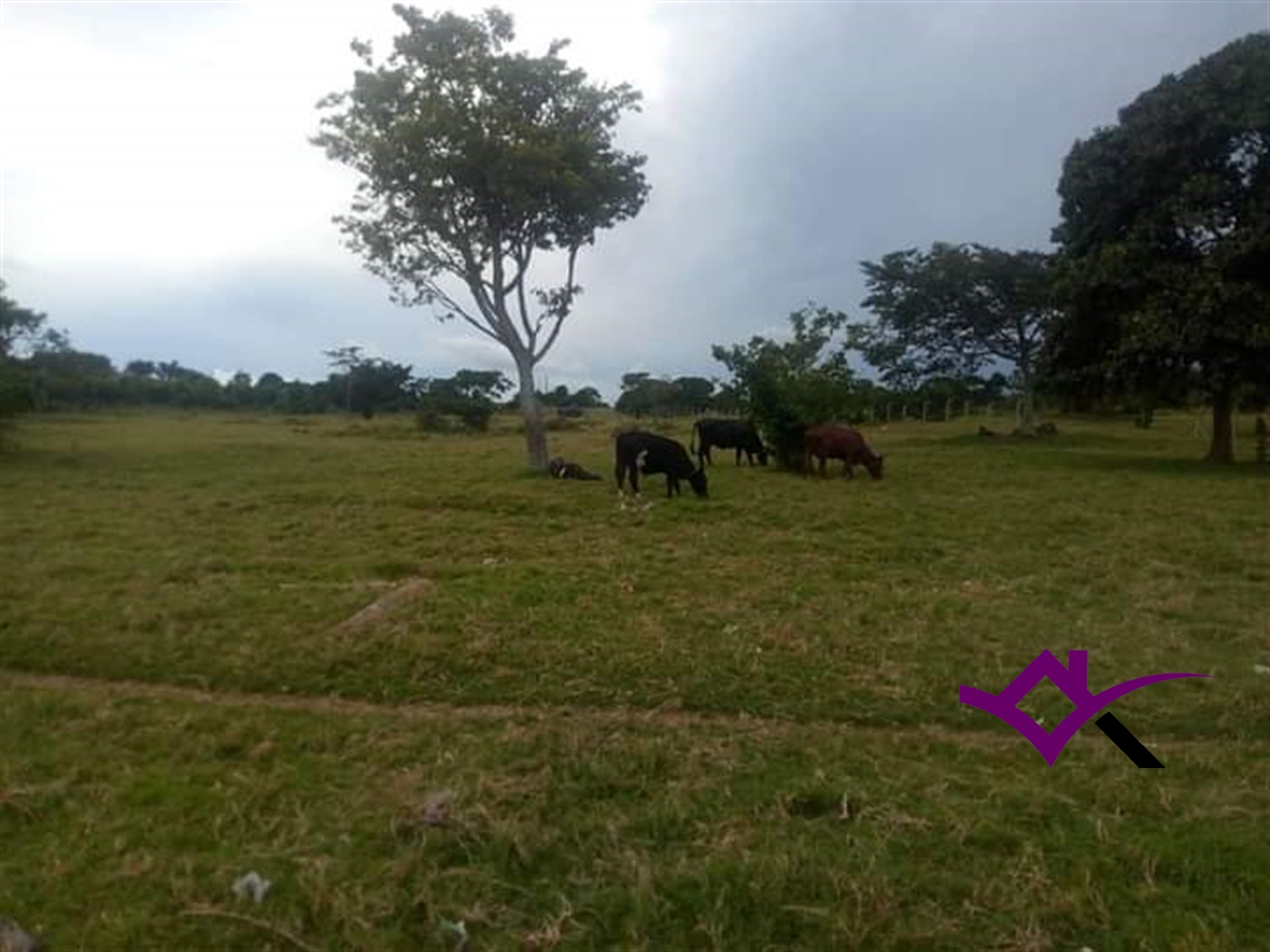 Multipurpose Land for sale in Garuga Wakiso