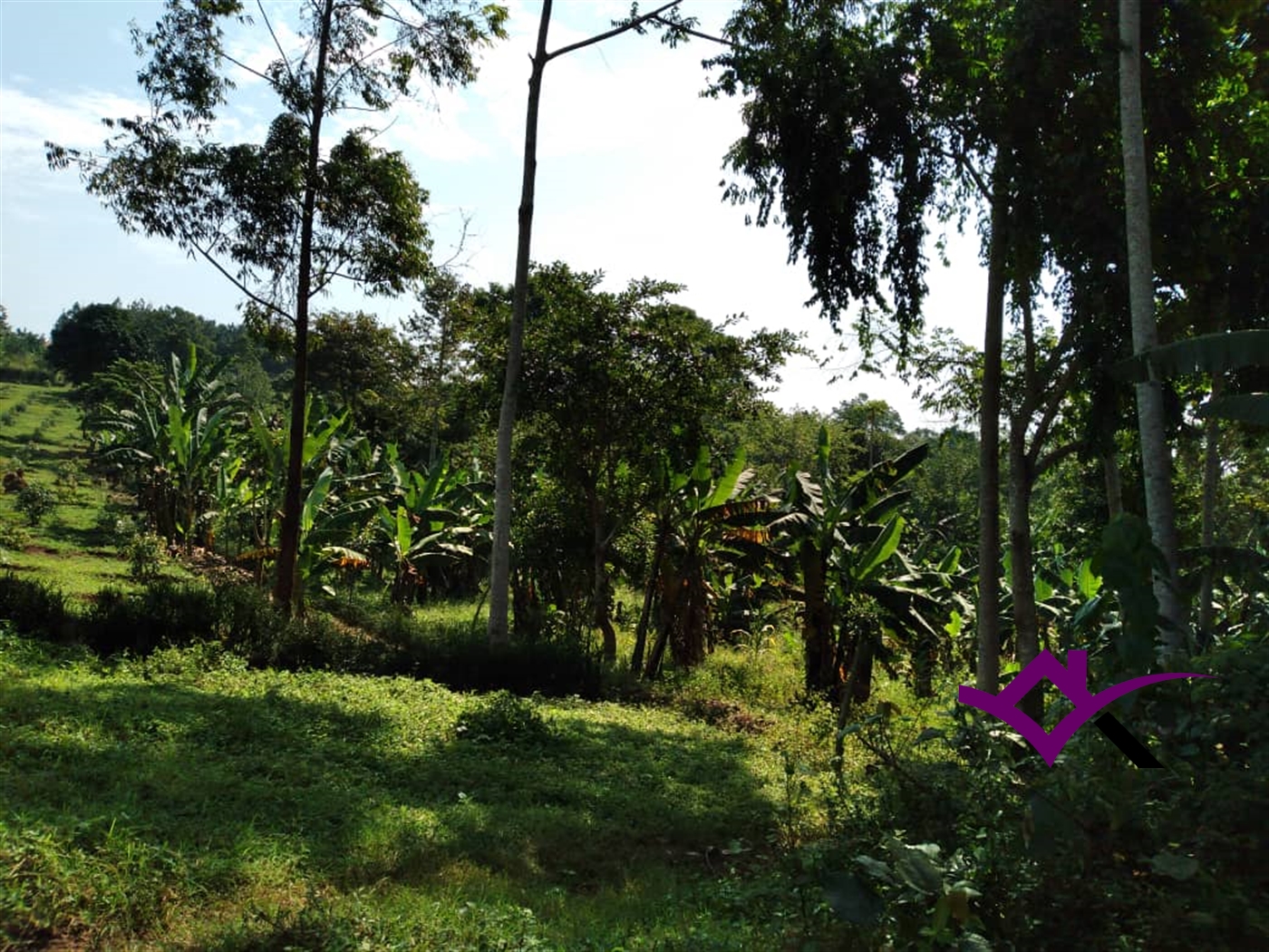 Multipurpose Land for sale in Busukuma Wakiso