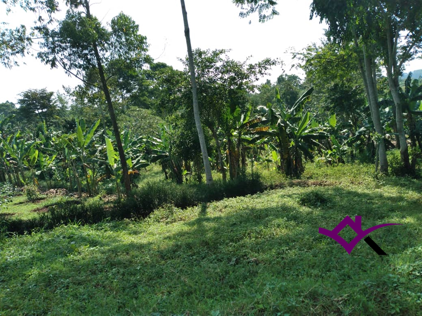 Multipurpose Land for sale in Busukuma Wakiso