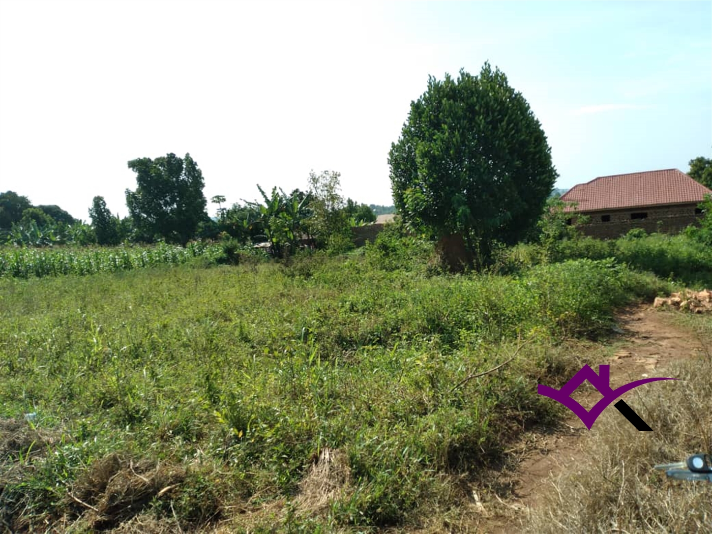 Residential Land for sale in Busukuma Wakiso