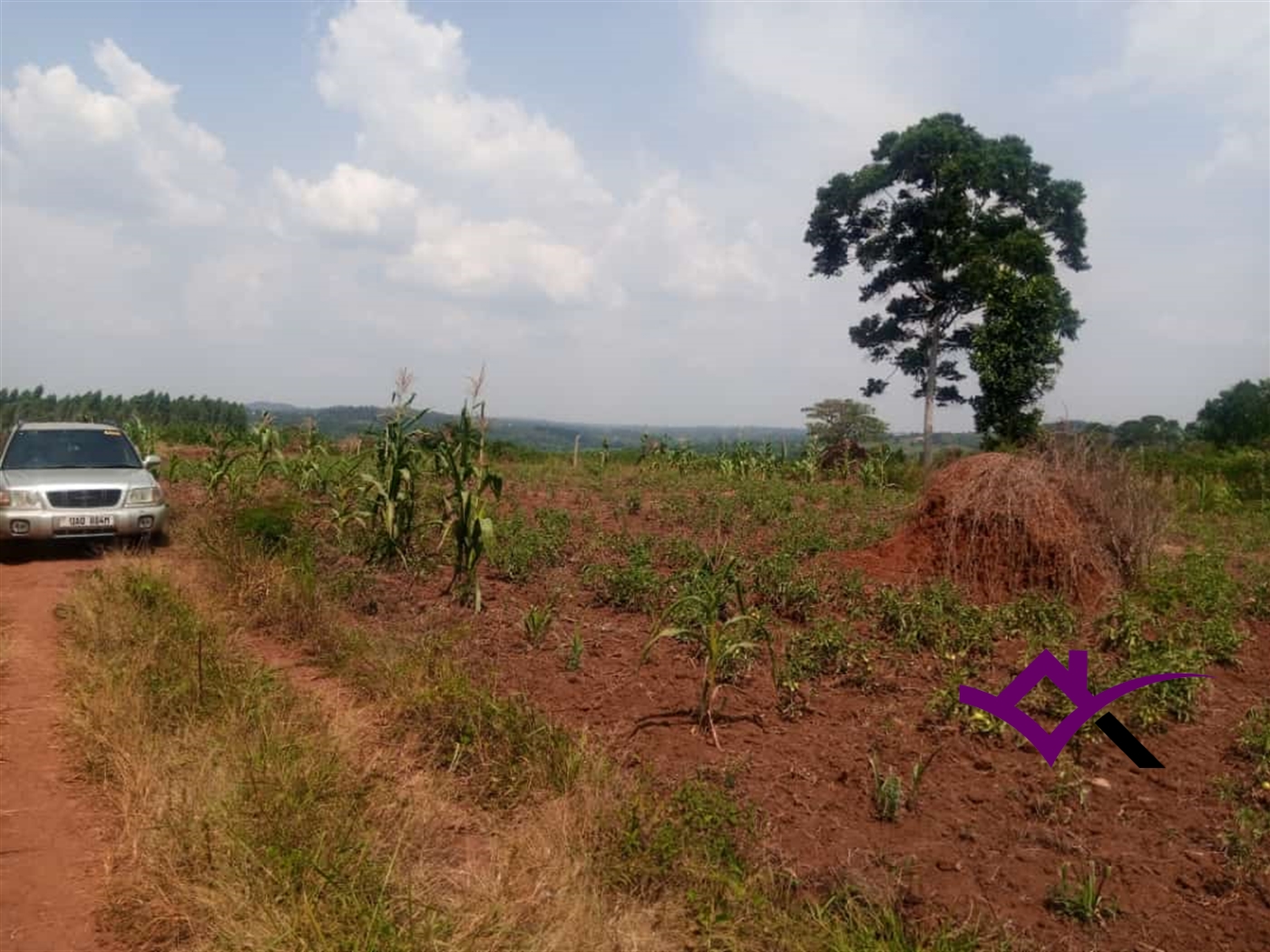 Residential Land for sale in Gayaza Wakiso