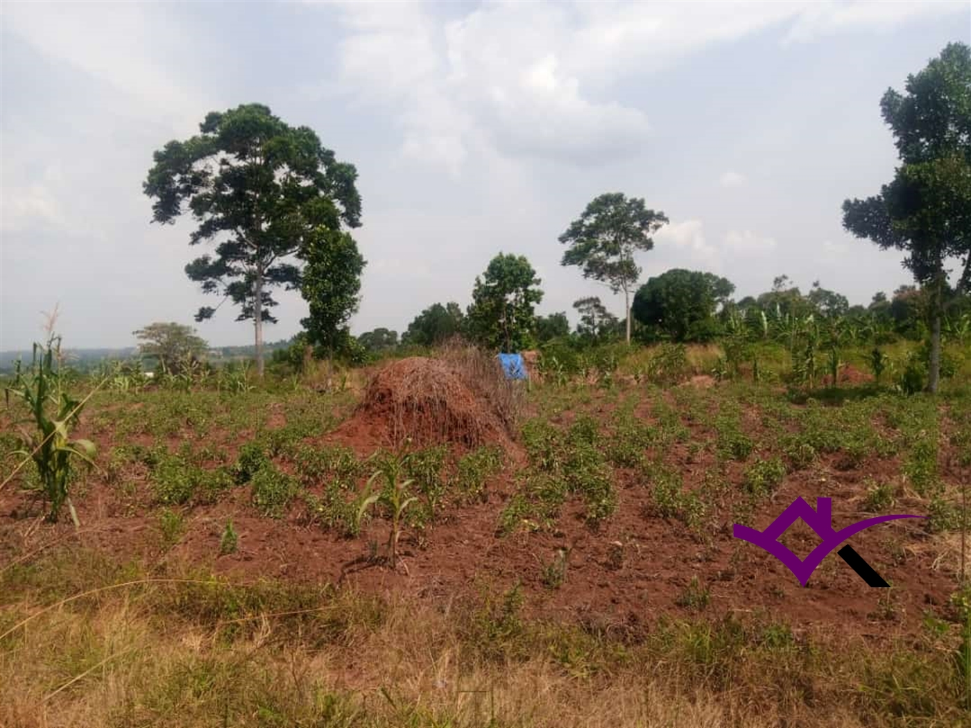 Residential Land for sale in Gayaza Wakiso