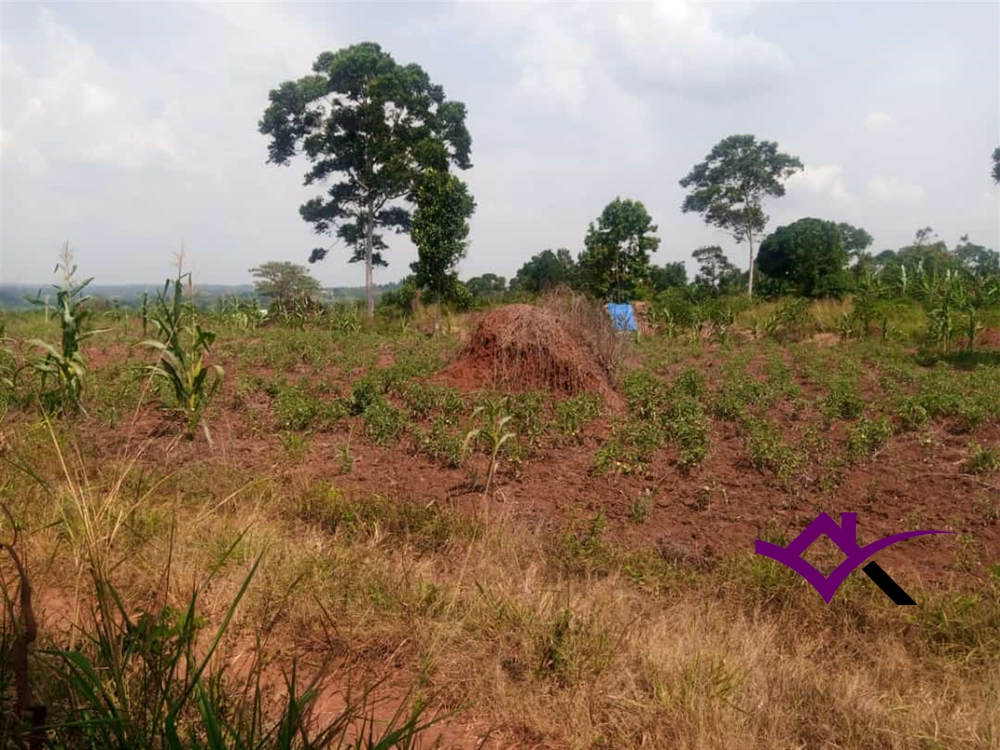 Residential Land for sale in Gayaza Wakiso