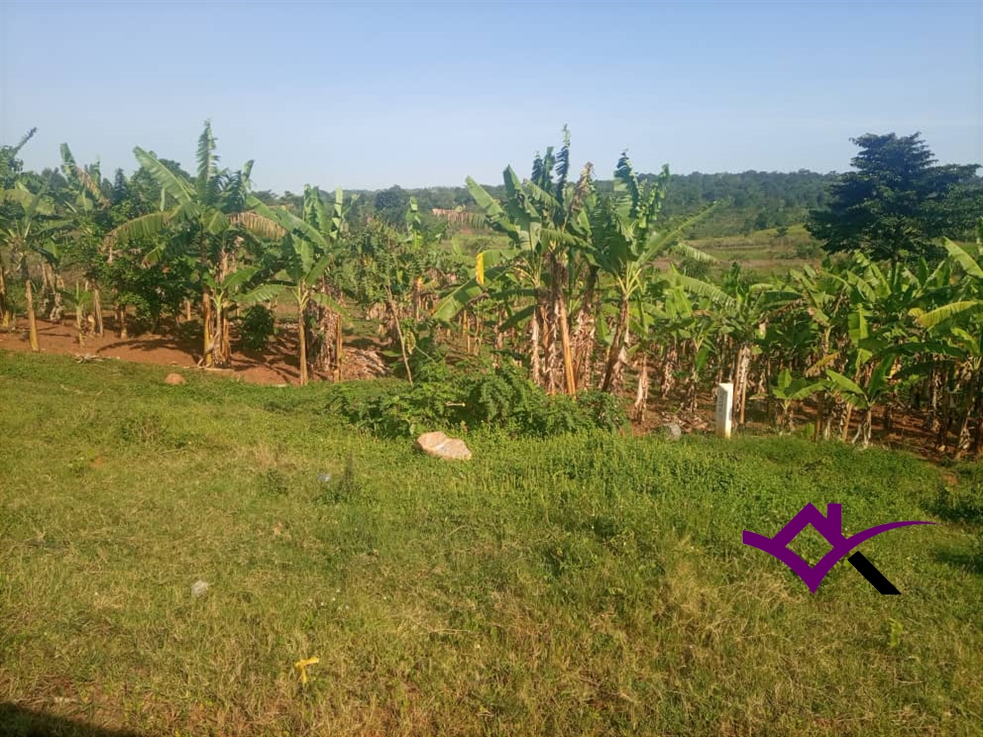 Multipurpose Land for sale in Naja Mukono