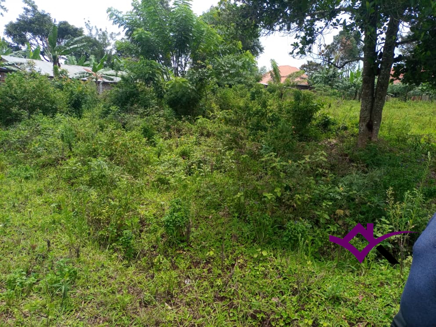 Residential Land for sale in Nsambwe Mukono