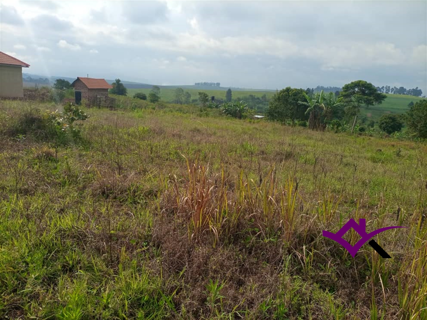 Residential Land for sale in Nsambwe Mukono