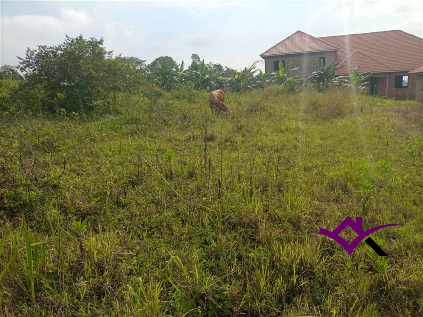 Residential Land for sale in Nsambwe Mukono