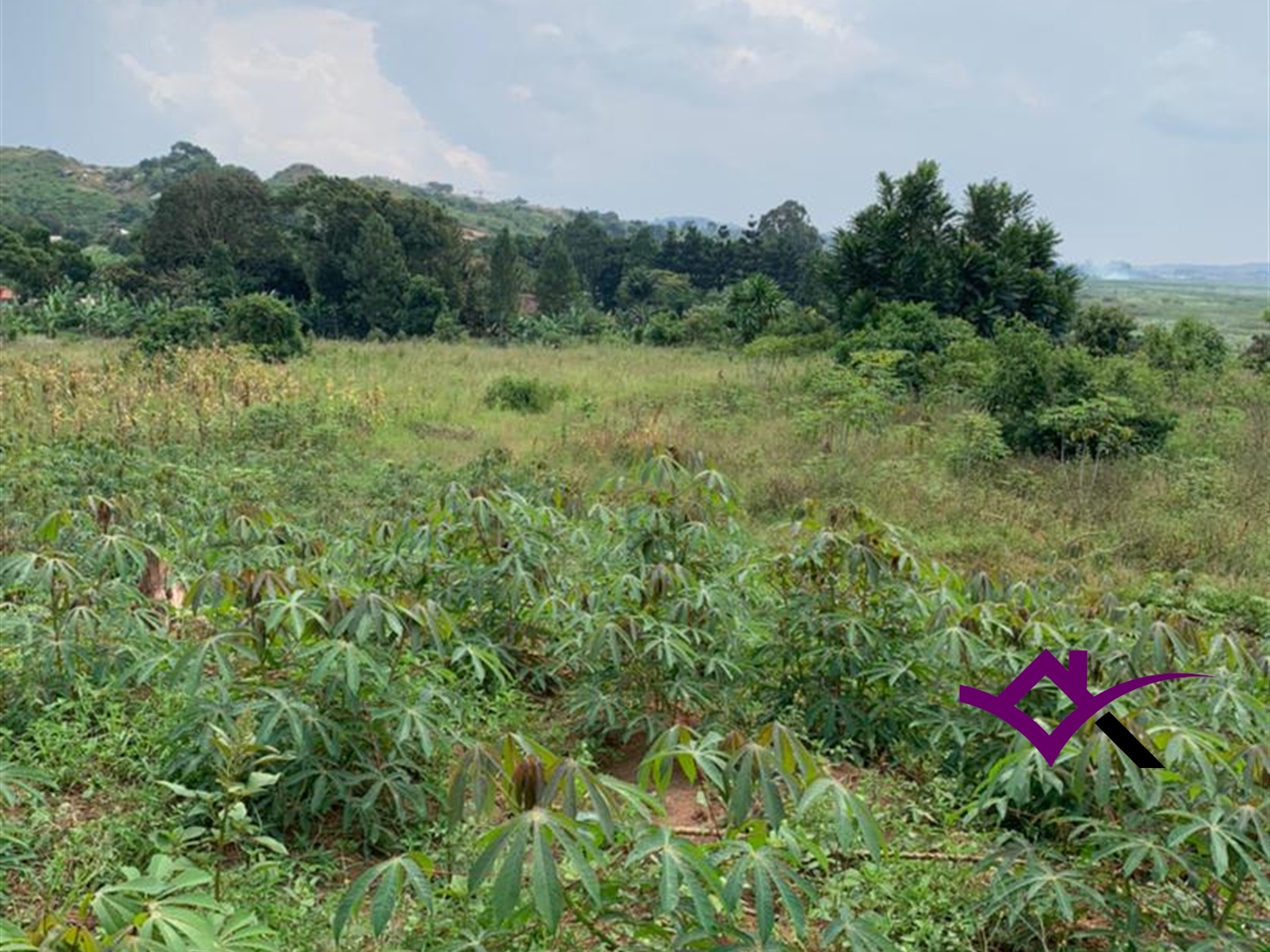 Multipurpose Land for sale in Entebbe Wakiso