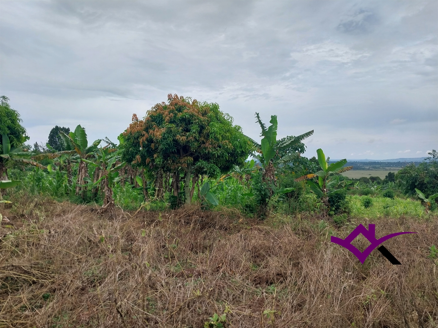 Multipurpose Land for sale in Buwaya Wakiso