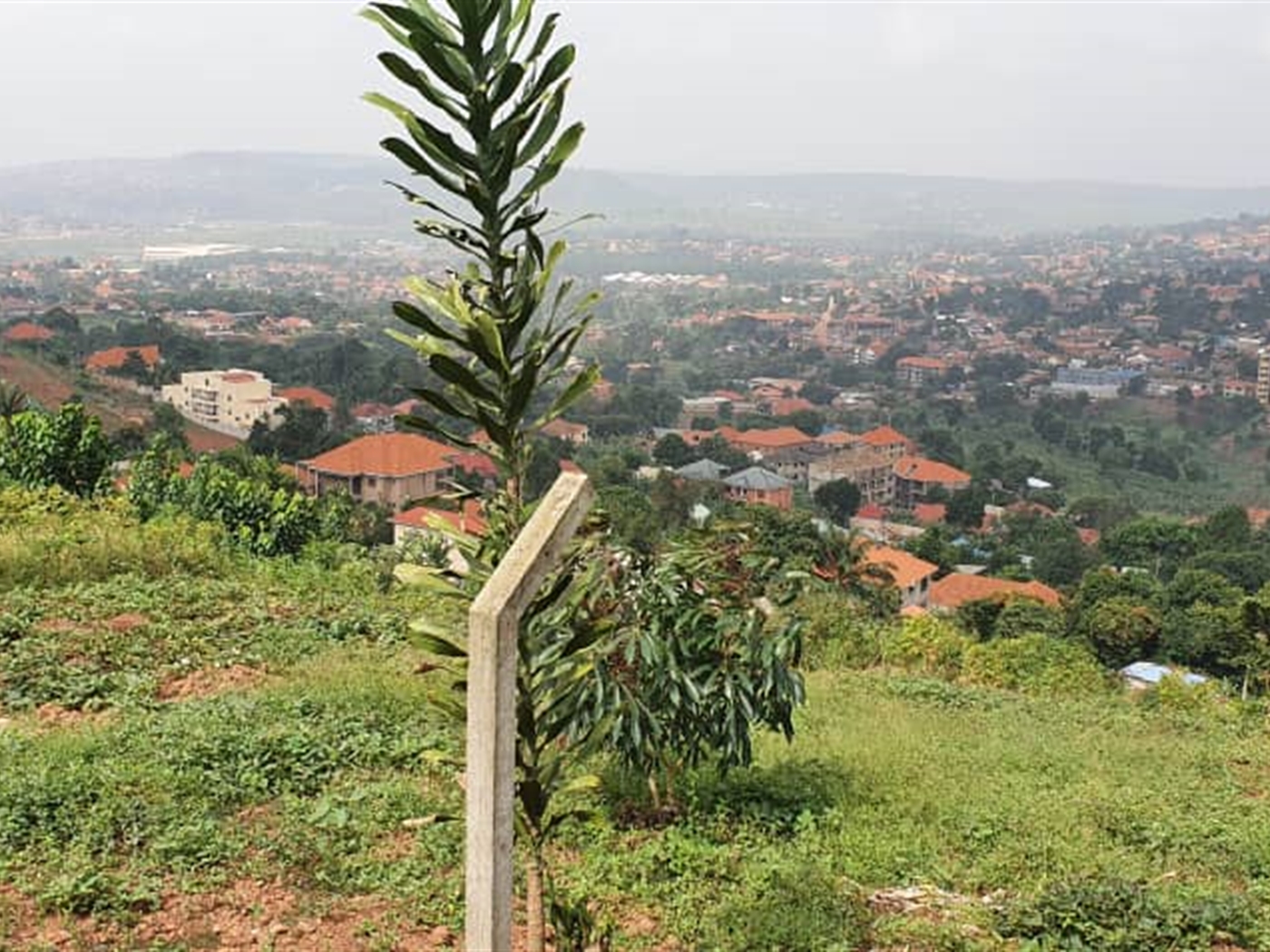 Residential Land for sale in Lubowa Kampala