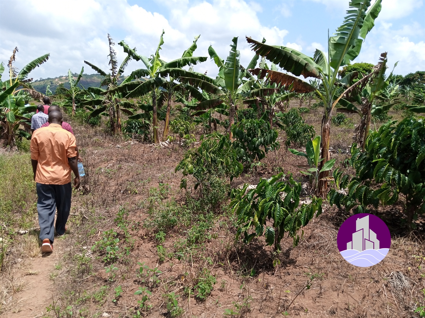 Agricultural Land for sale in Buwama Mpigi