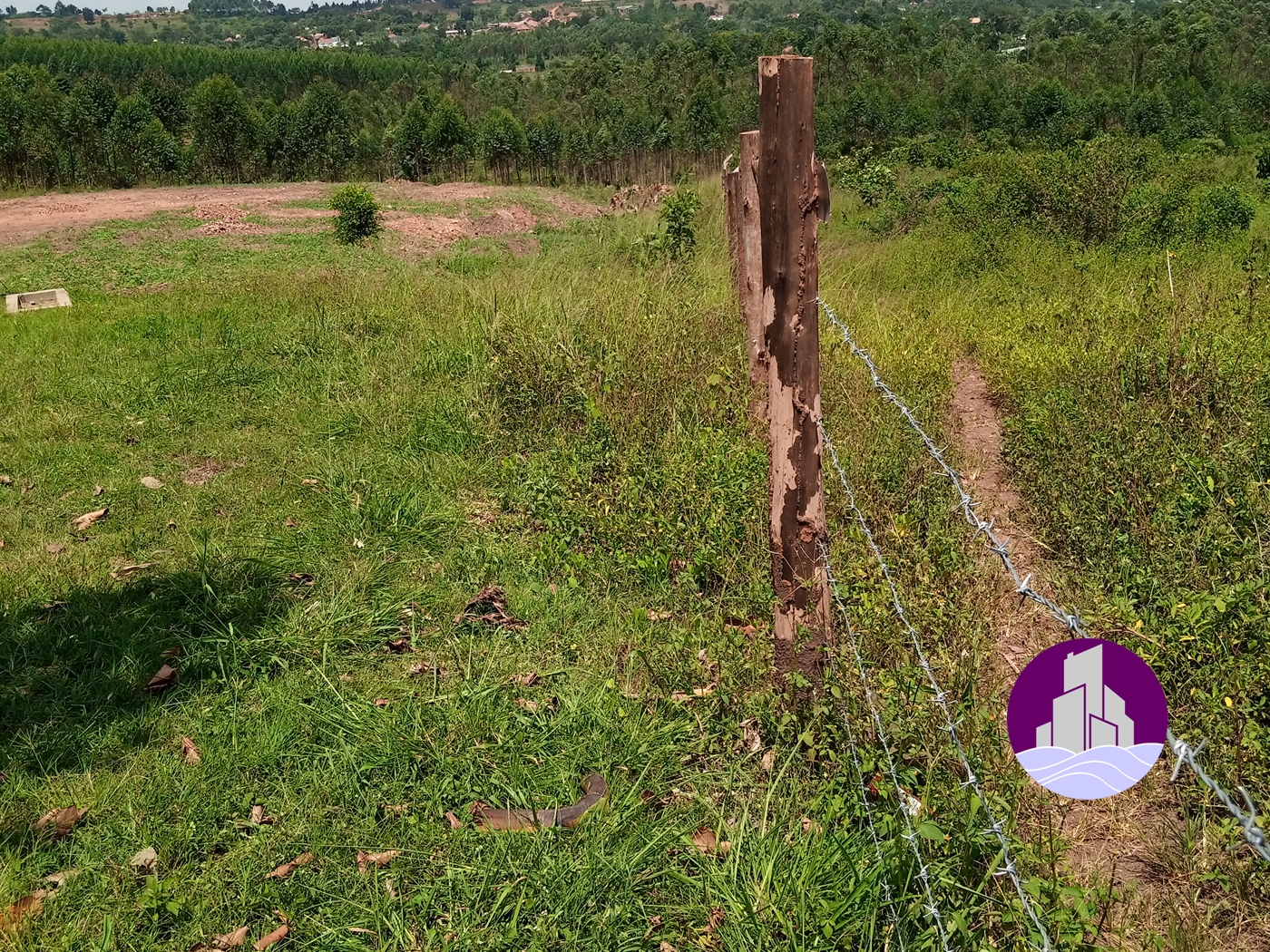 Multipurpose Land for sale in Sonde Mukono