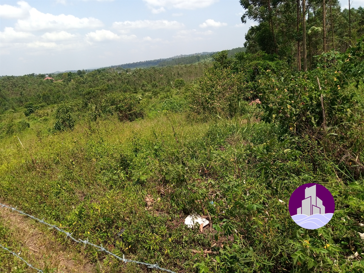 Multipurpose Land for sale in Sonde Mukono