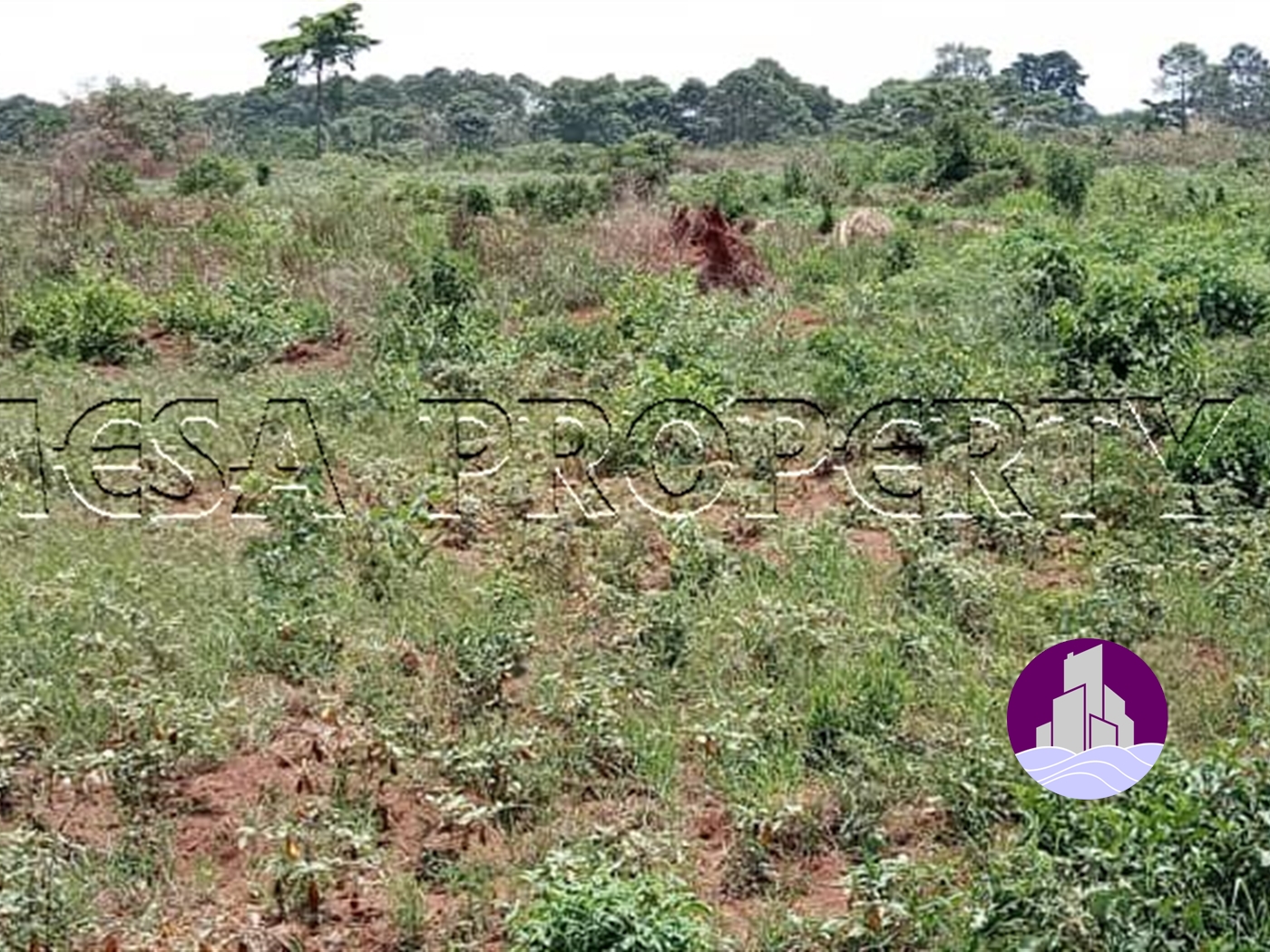 Agricultural Land for sale in Kikyuusa Luweero