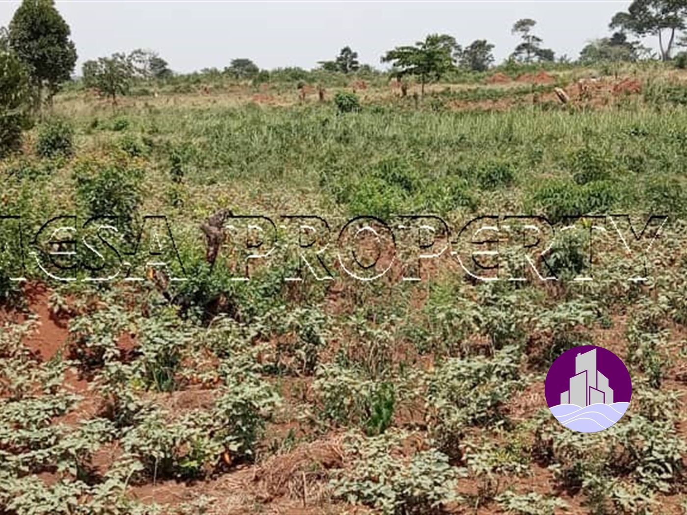 Agricultural Land for sale in Kikyuusa Luweero