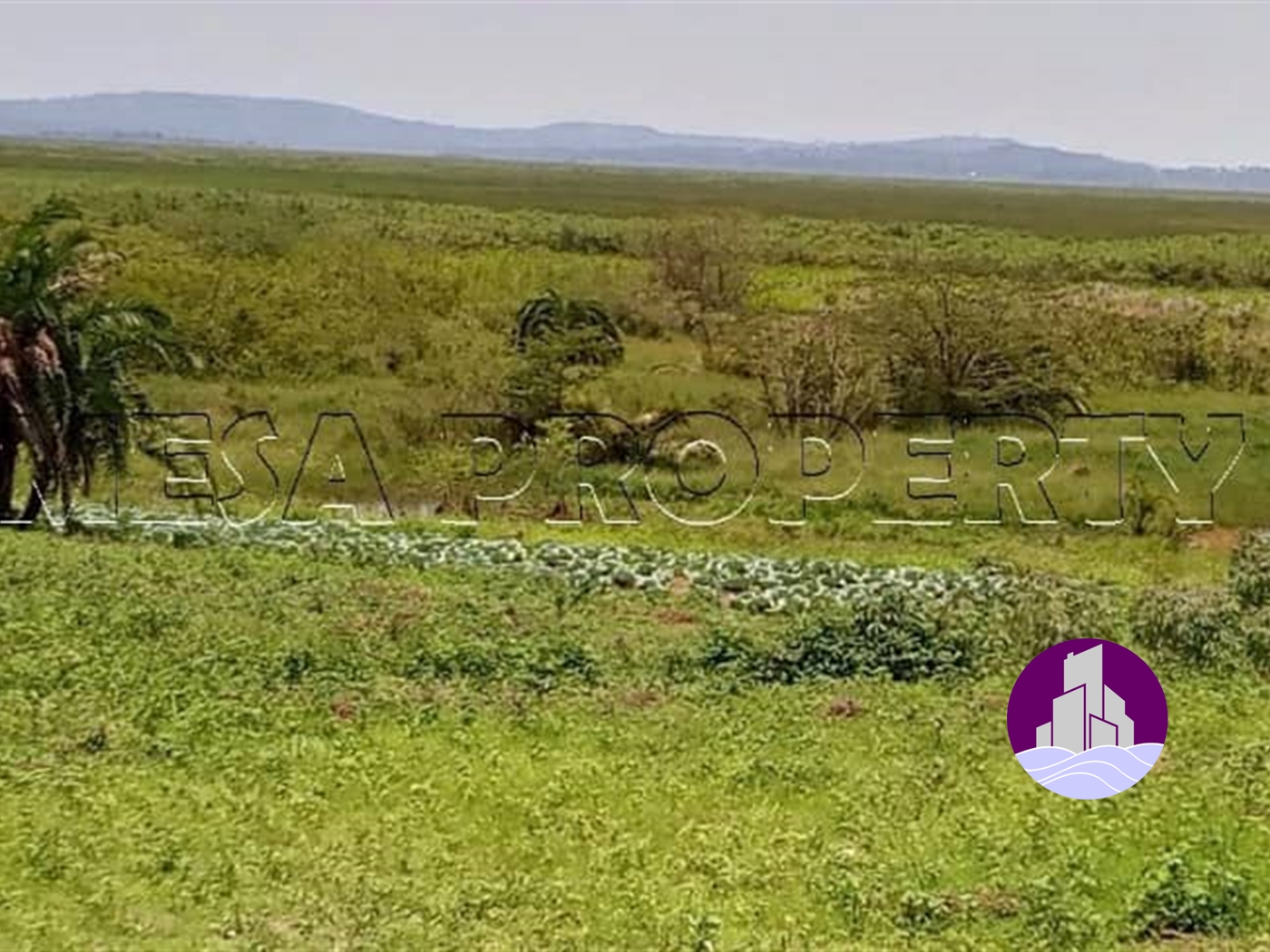 Agricultural Land for sale in Kamengo Mpigi