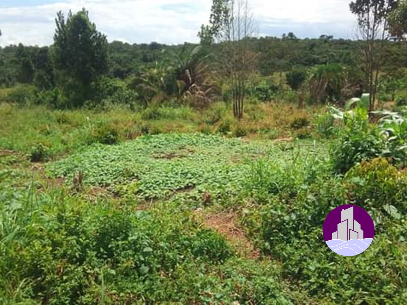 Multipurpose Land for sale in Mpata Mukono