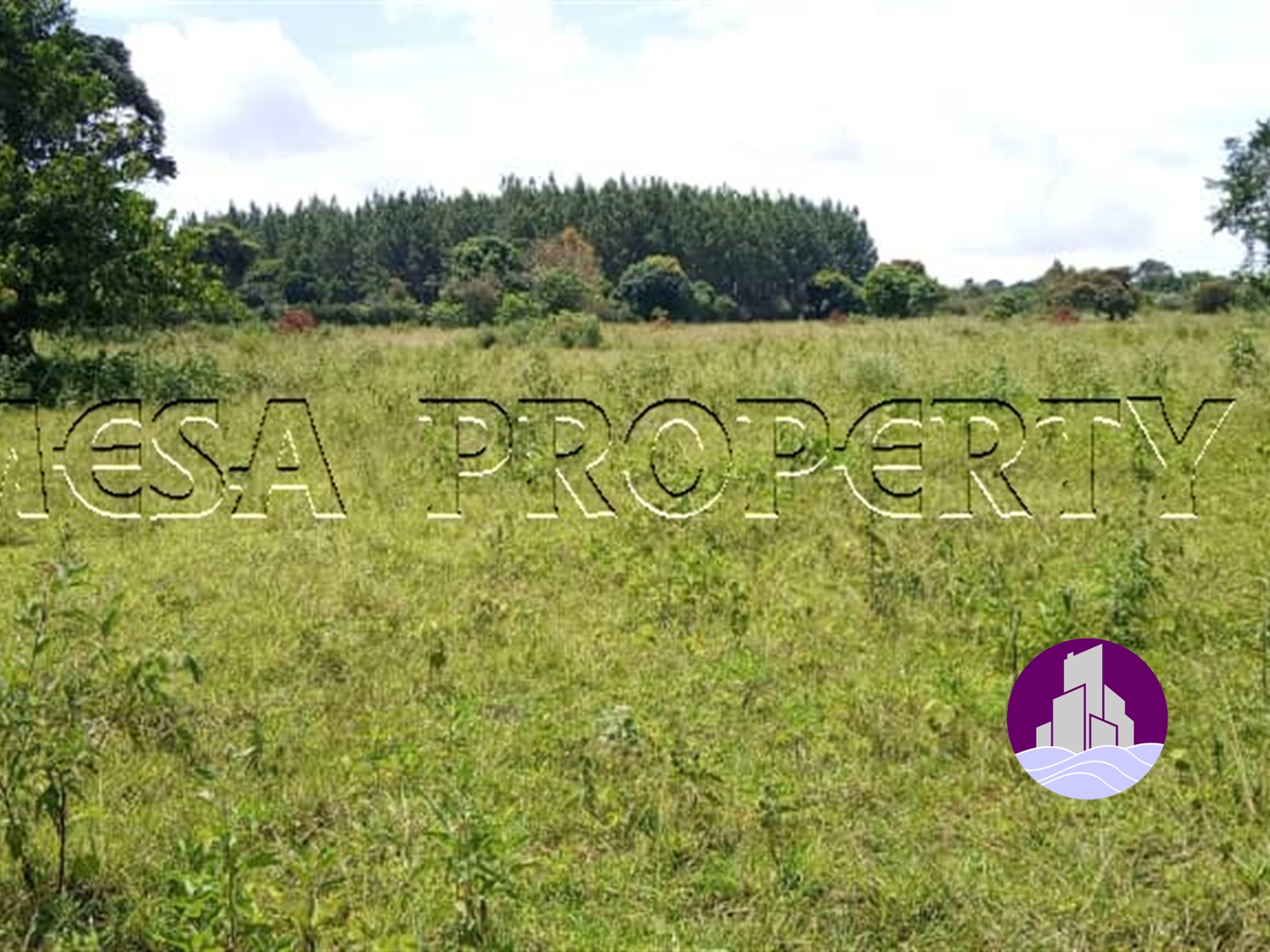 Multipurpose Land for sale in Buwama Mpigi