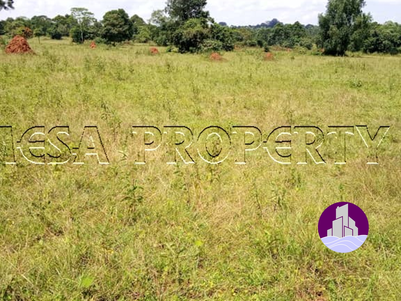 Multipurpose Land for sale in Buwama Mpigi