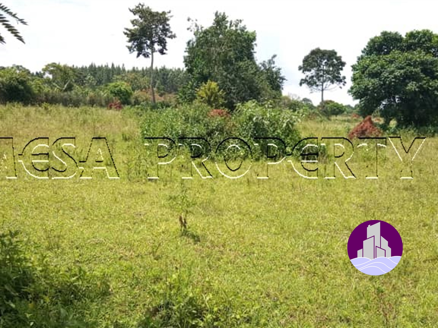 Multipurpose Land for sale in Buwama Mpigi