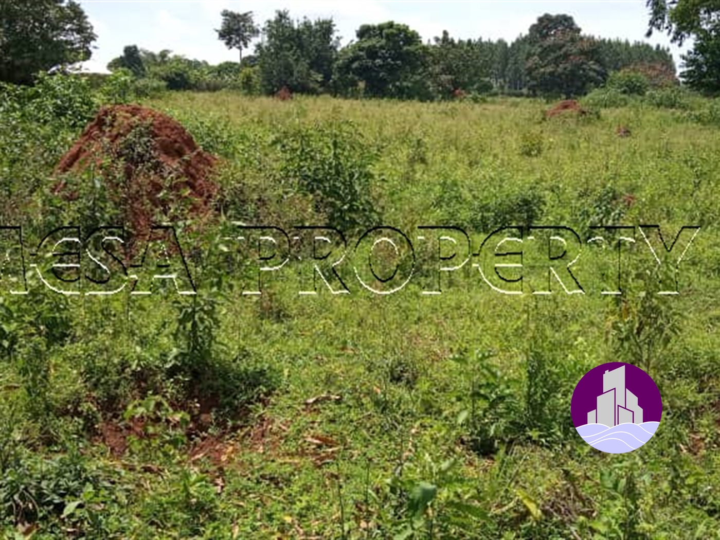 Multipurpose Land for sale in Buwama Mpigi