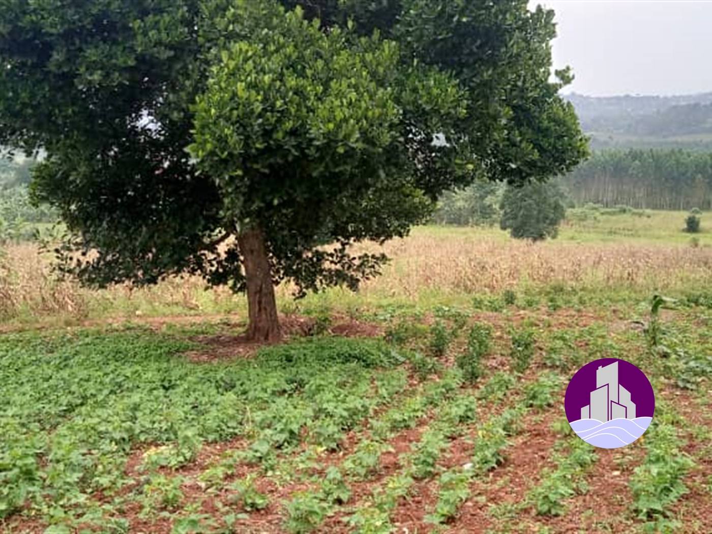 Residential Land for sale in Entebbe Wakiso