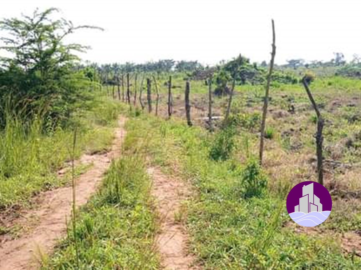 Agricultural Land for sale in Ziloobwe Nakaseke