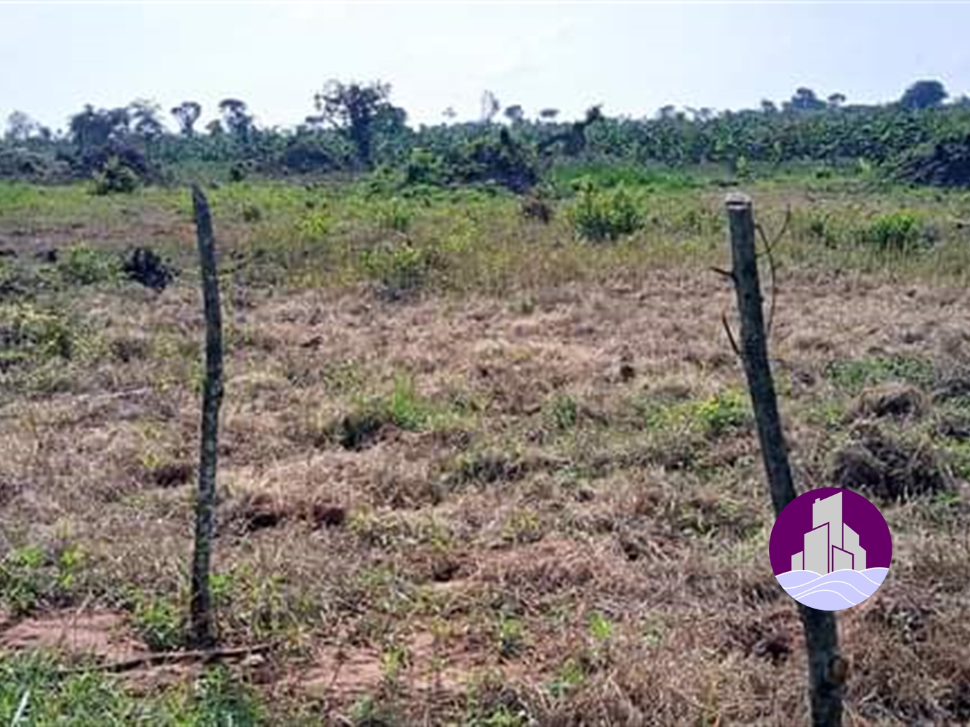 Agricultural Land for sale in Ziloobwe Nakaseke
