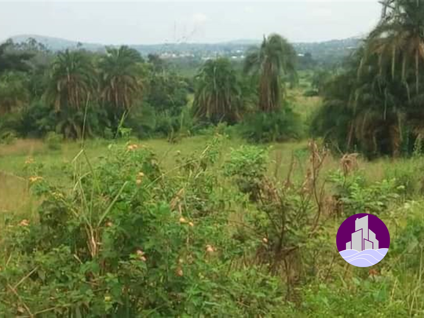 Agricultural Land for sale in Ziloobwe Nakaseke