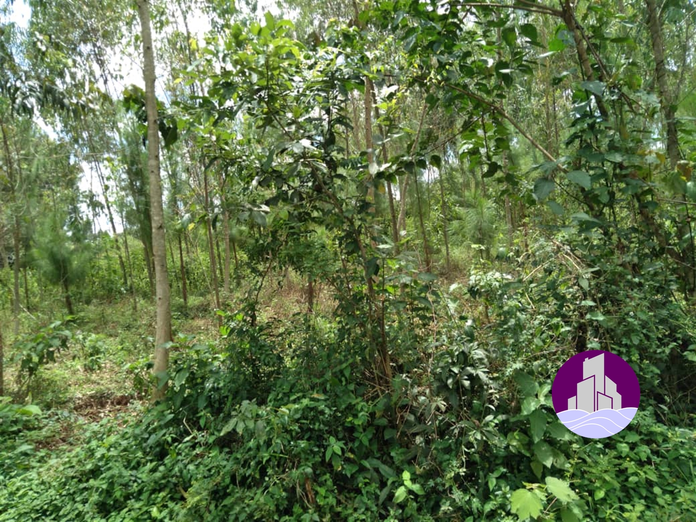 Residential Land for sale in Entebbe Wakiso