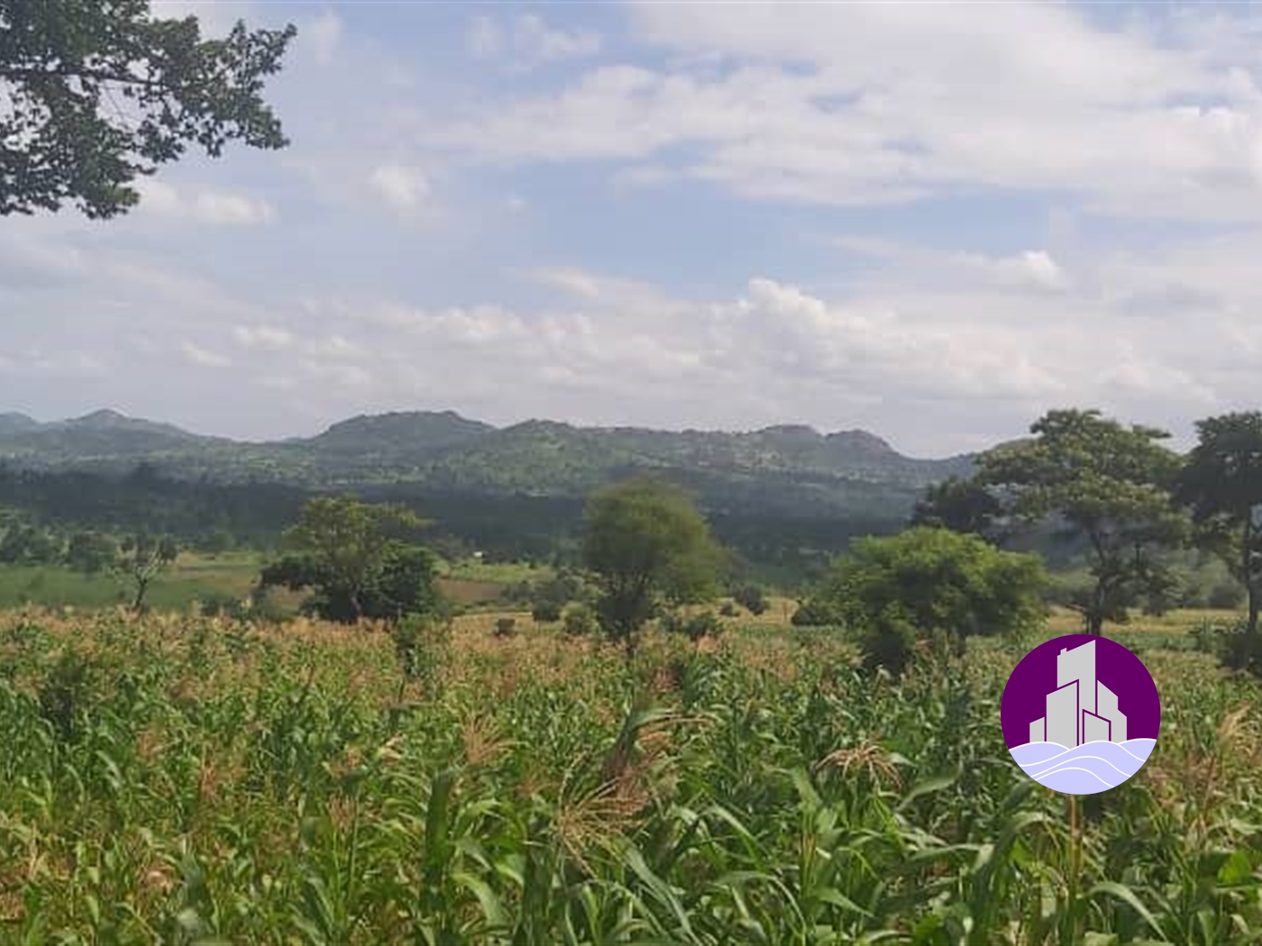 Agricultural Land for sale in Subcounty Kiboga