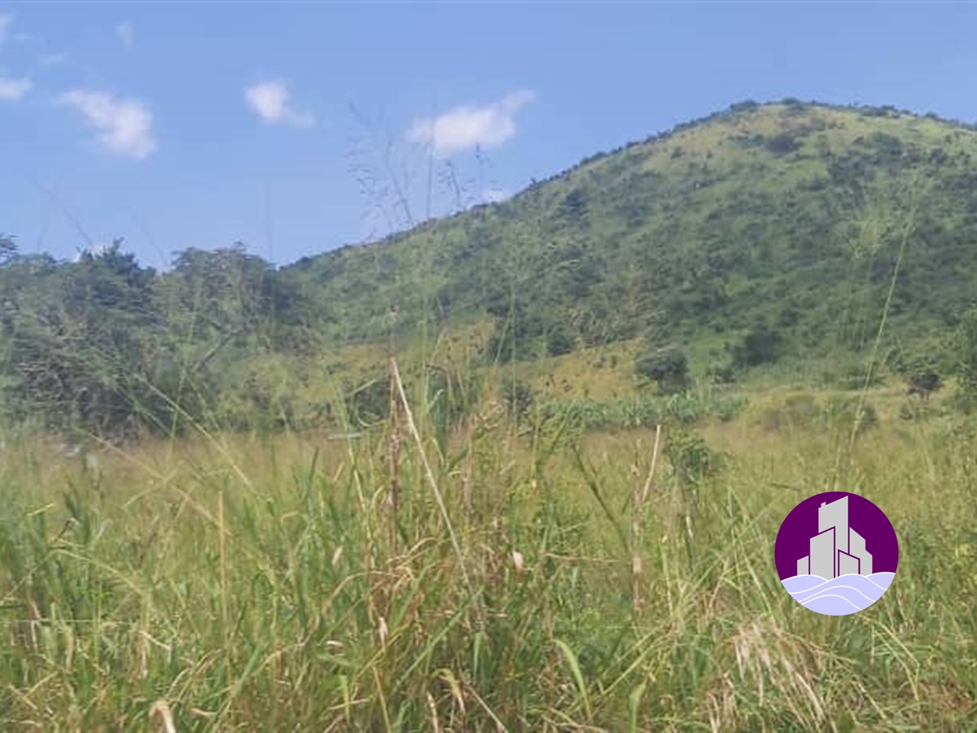 Agricultural Land for sale in Maduddu Mubende