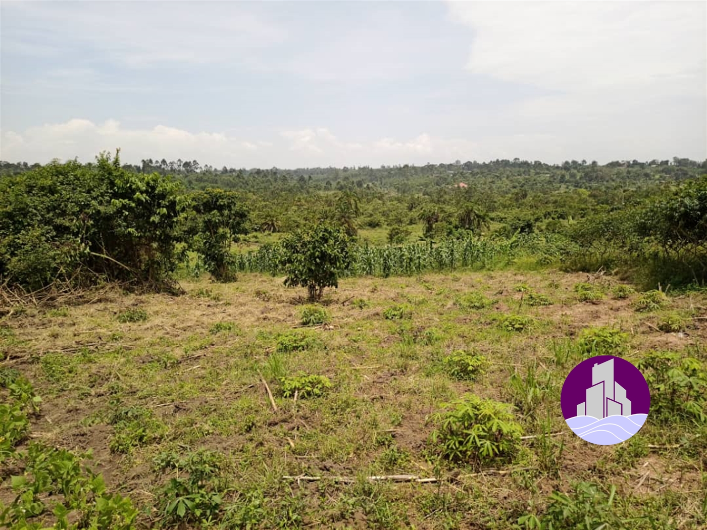 Industrial Land for sale in Kasayi Mukono